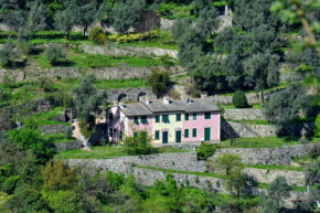 Villa Olivari - apt il Cedro, Camogli